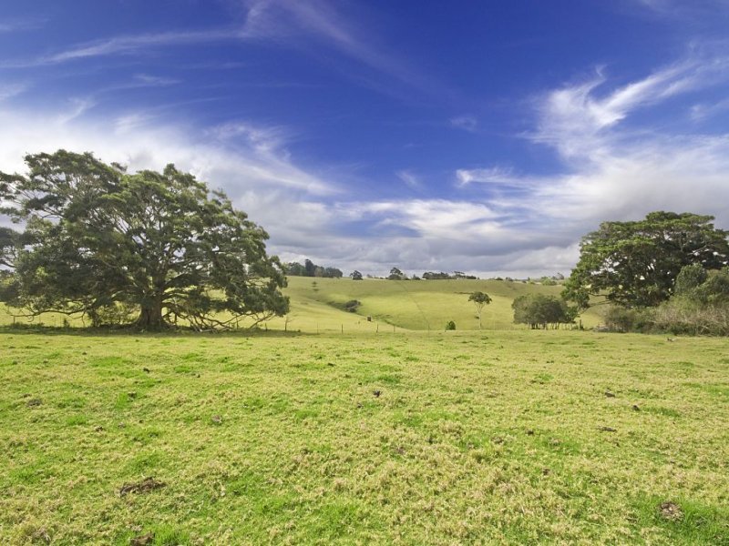 85 Kings Lane, Maleny, Qld 4552 Property Details