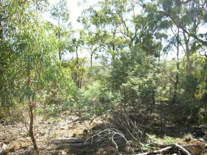 180 Loriwood Drive, Turners Marsh, TAS 7267