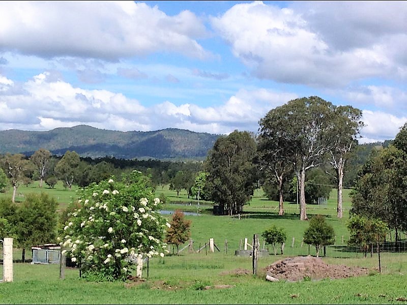 37 Dyraaba Street, Bonalbo, NSW 2469