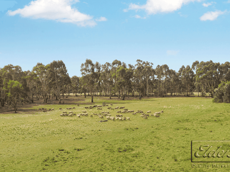 CA21 AxedaleToolleen Road, Toolleen, Vic 3551 Property Details