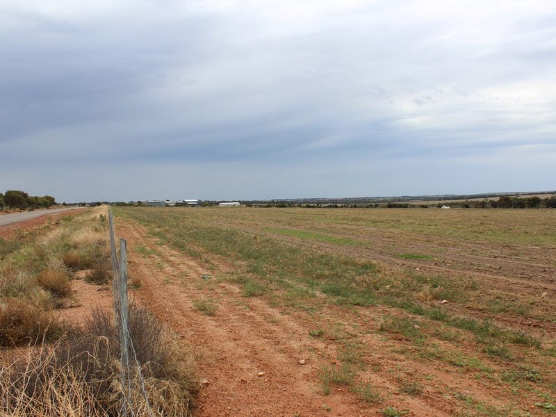 Real Estate & Property for Sale in Wongan Hills, WA 6603 realestate