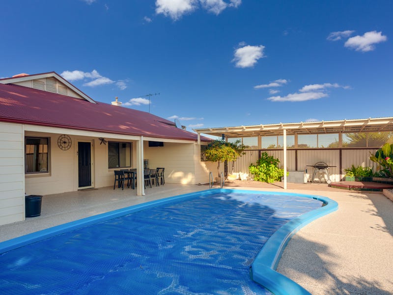 17560 Sturt Highway, Barmera, SA 5345 Lifestyle for Sale realestate