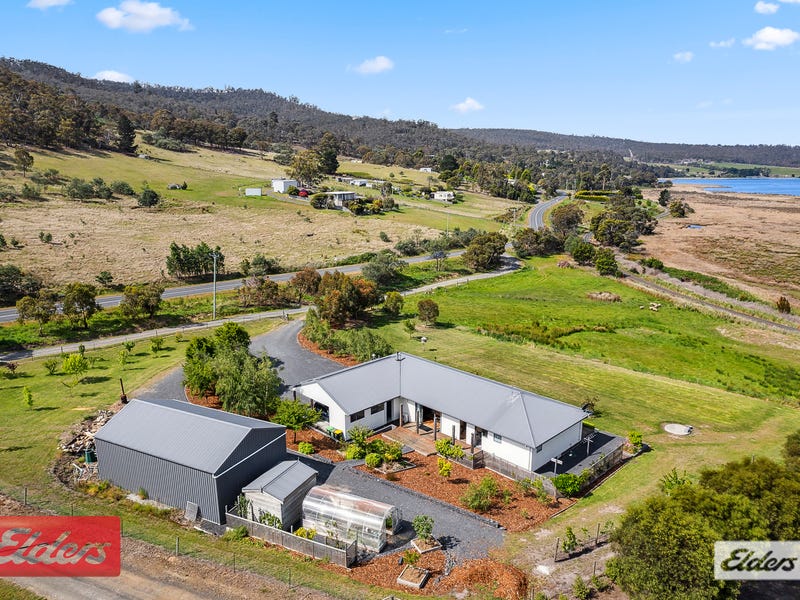 445 Boyer Road, Dromedary, Tas 7030 House for Sale