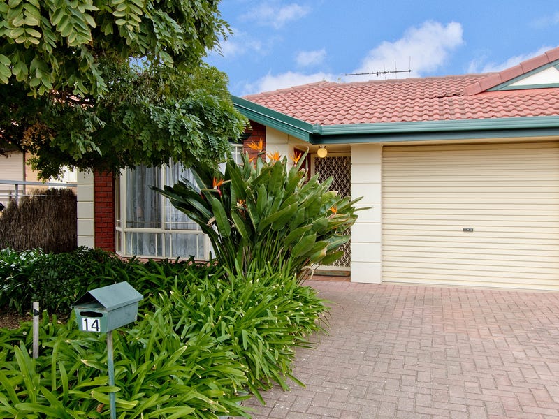 14 Allison Street, Ascot Park, SA