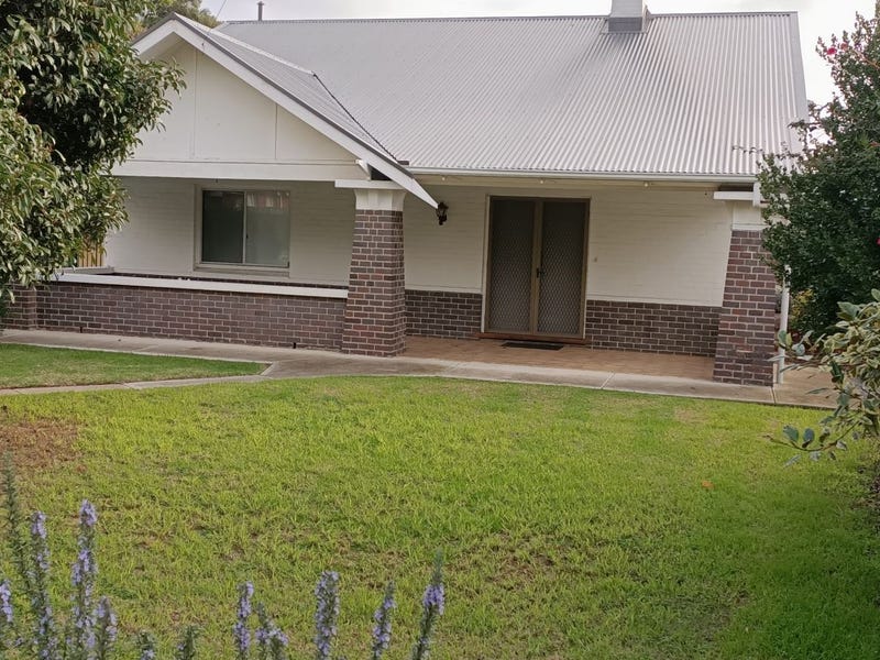 3 Williams Avenue, St Morris, SA 5068