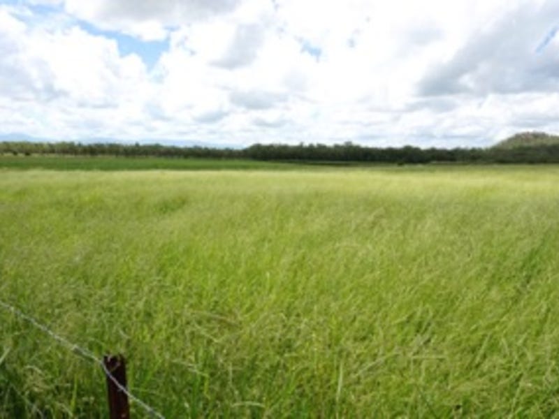 Fassio Rd 862 Fassio Road, Paddys Green, QLD 4880 - realestate.com.au