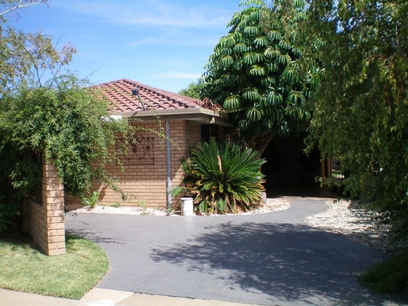 119 Olive Avenue, Mildura, Vic 3500 Property Details