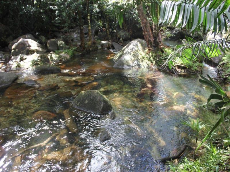 51 Stonewood Road, Diwan, QLD 4873