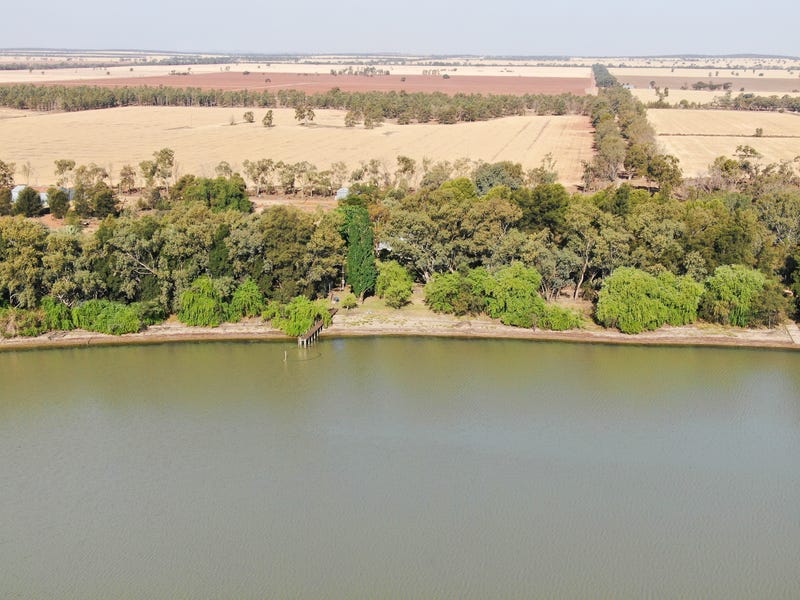 543 Curlew road, Lake Cargelligo, NSW 2672 Cropping for Sale