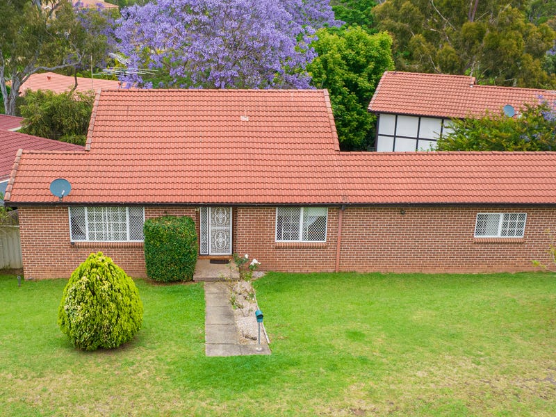 appaloosa for sale nsw