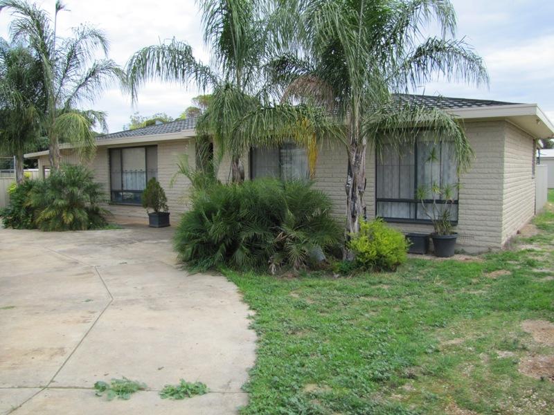 41 Haines Road, Willaston, SA 5118 Property Details