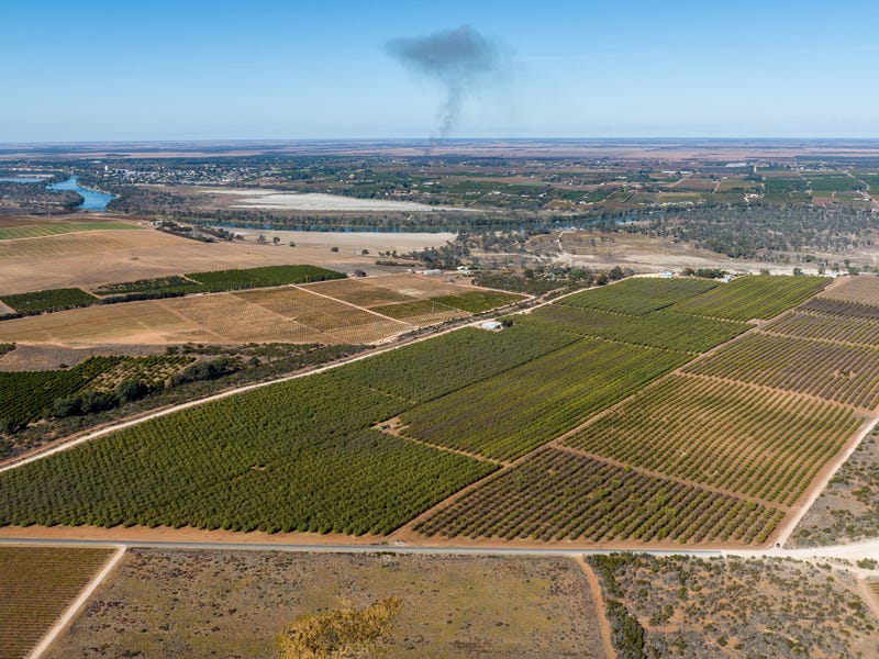 245 Promnitz Road, Taylorville, SA 5330 Cropping for Sale