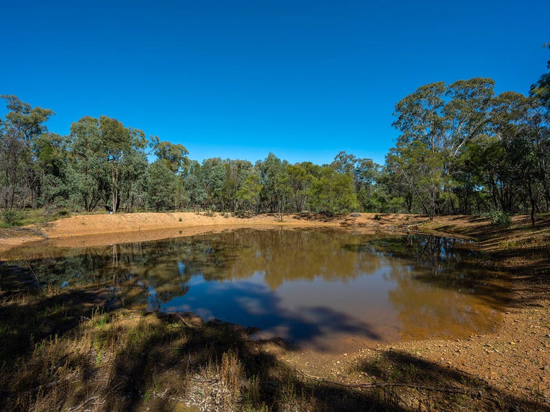 Real Estate & Property for Sale in Dunedoo, NSW 2844