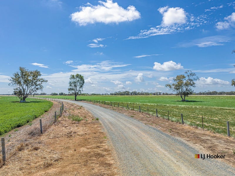459 Echuca West School Road, Echuca, Vic 3564 Cropping for Sale