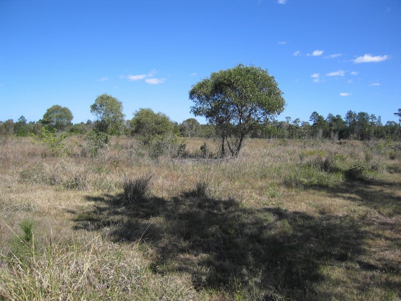 240 Peel Road, Beachmere, QLD 4510