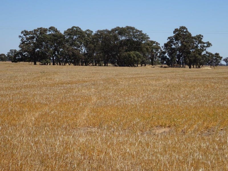 . Womboota Siding Road, Moama, NSW 2731 Property Details