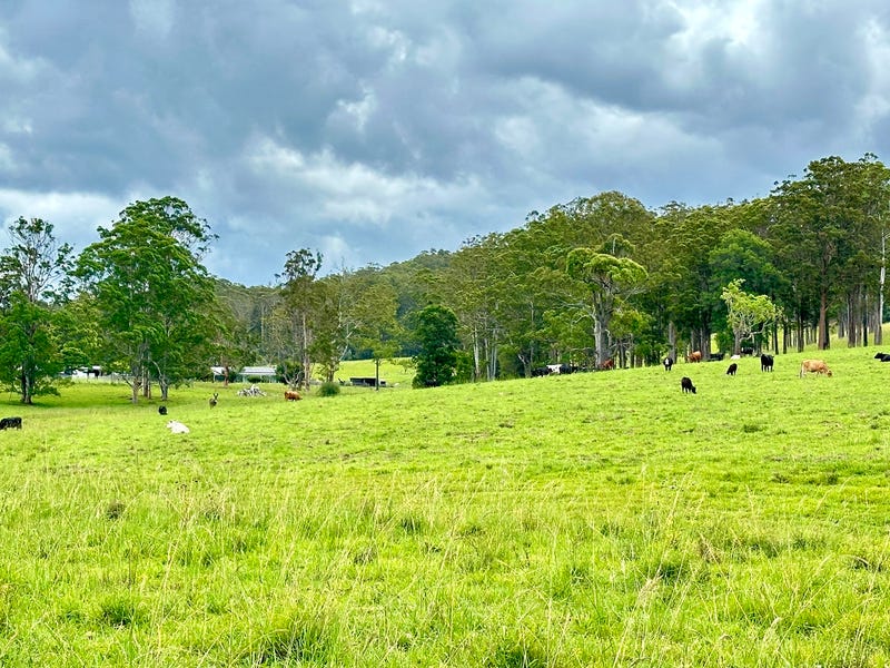 Real Estate & Property for Sale in Emerald Beach, NSW 2456 (+2