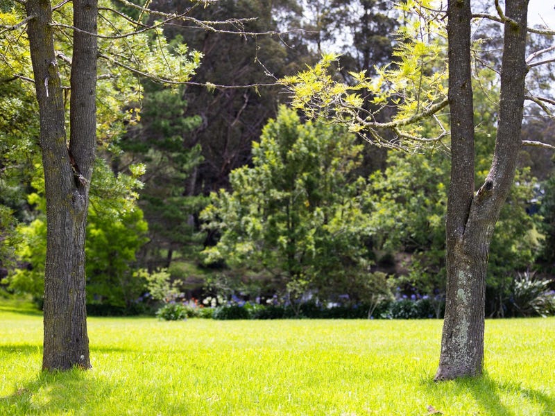 208 Range Road, Mittagong, NSW 2575 House for Sale