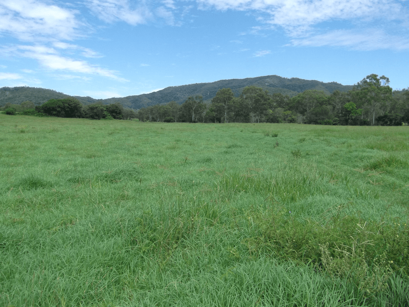 1863 Sarina Homebush Road, Oakenden, QLD 4741