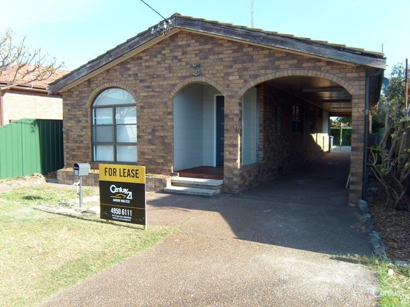 3 Williams Street, Belmont South, NSW 2280