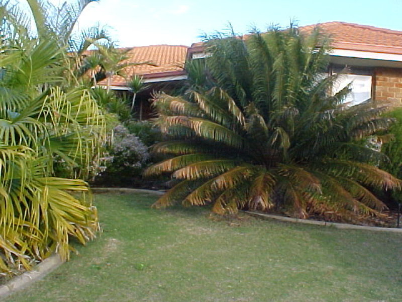 20 Sugarwood Drive, Thornlie, WA 6108 Property Details