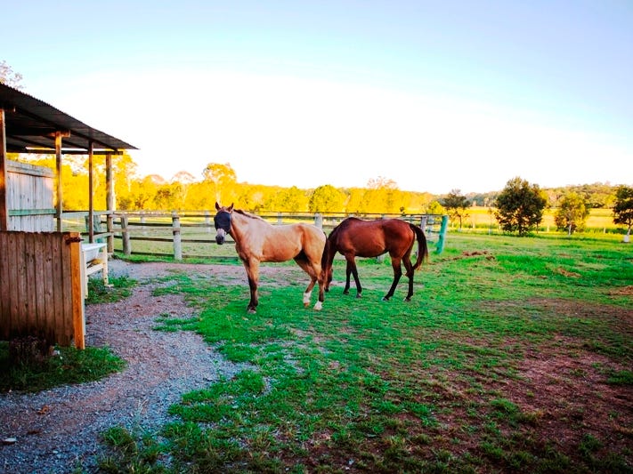 75 Browns Road, Kurwongbah, Qld 4503 Property Details