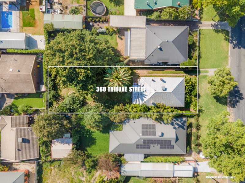 368 Tribune Street, Albury, NSW 2640 Property Details