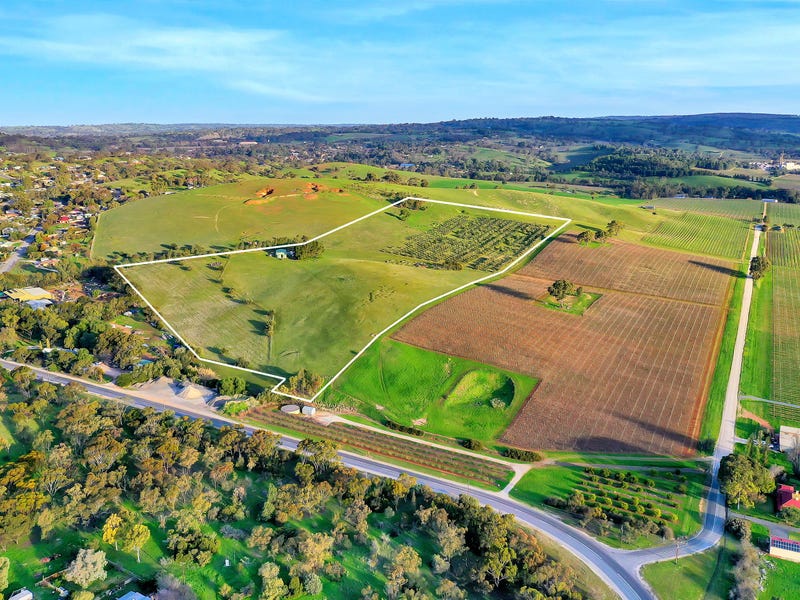 Real Estate & Property for Sale in SA Pg. 17