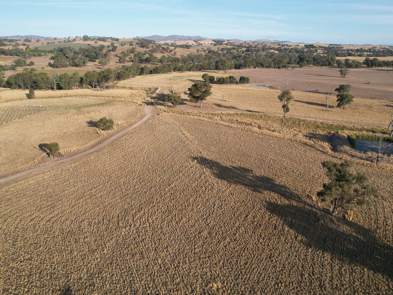 5413 Muttama Road, Cootamundra, NSW 2590 Lifestyle for Sale
