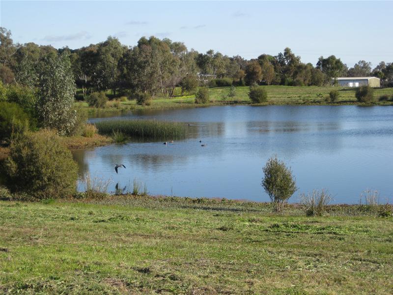 13 Swift Grove, Mclaren Flat, SA 5171