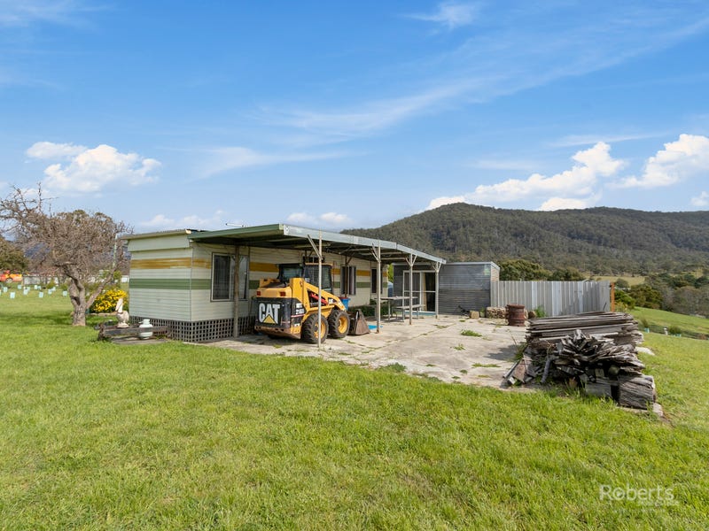19 Champ Street, Seymour, TAS 7215