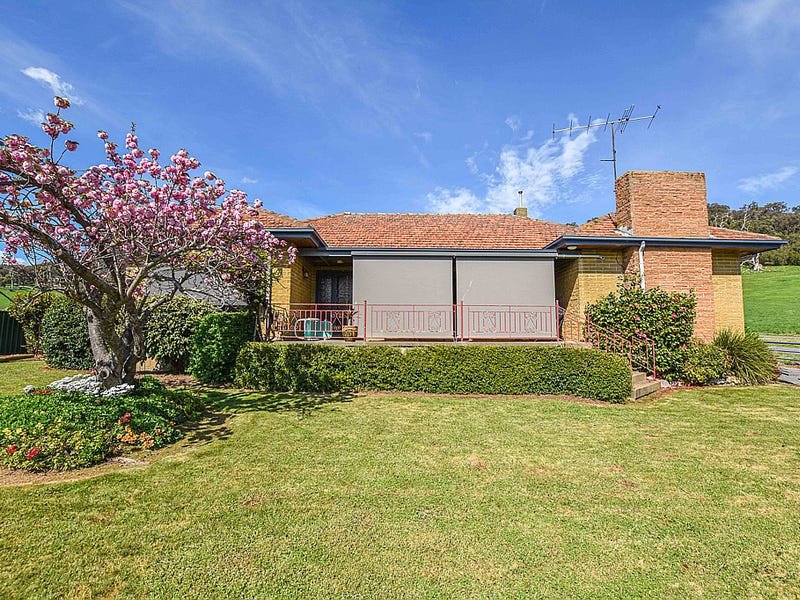 1253 Buffalo River Road, Buffalo River, VIC 3737