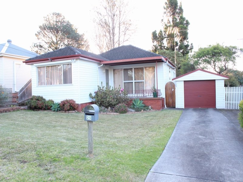25 Raymond Avenue, Campbelltown, NSW 2560