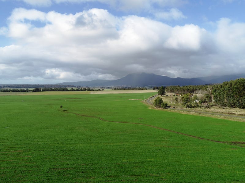 862 Cheshunt Road, Western Creek, TAS 7304