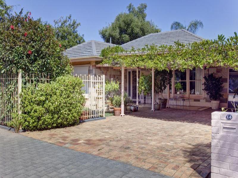 14 Roseberry Avenue, Highgate, SA 5063 Property Details