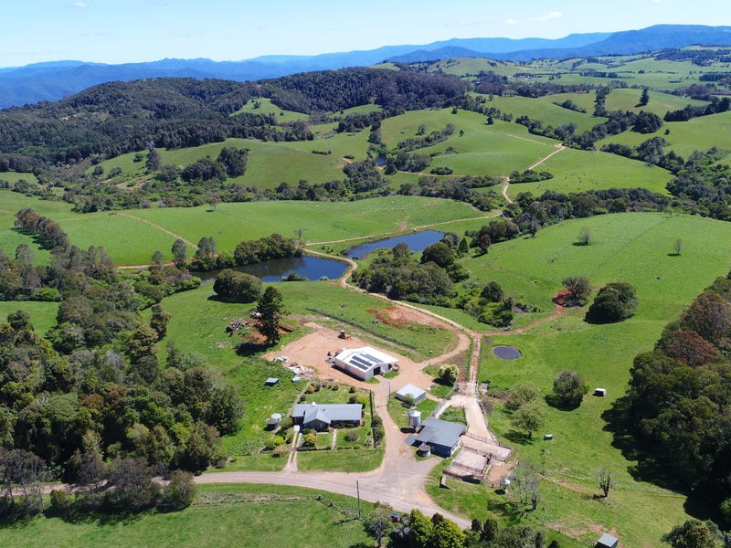94 Mountain Top Road, Dorrigo, NSW 2453 Property Details