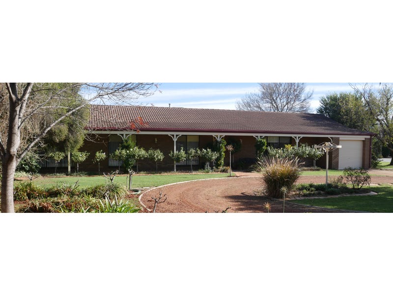 157 Petersham Road, Leeton, NSW 2705 Property Details