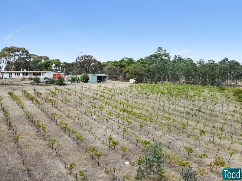 39 Reynolds Court, Graytown, Vic 3608 Property Details