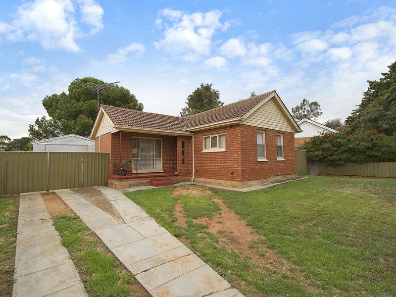 3 Bush Street, Elizabeth Downs, SA 5113