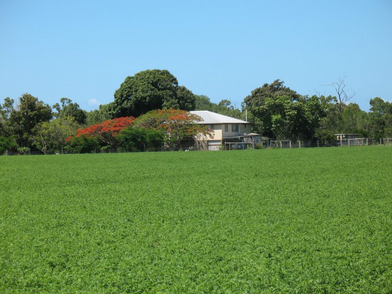 611 Moore Park Road, Creek, QLD 4670