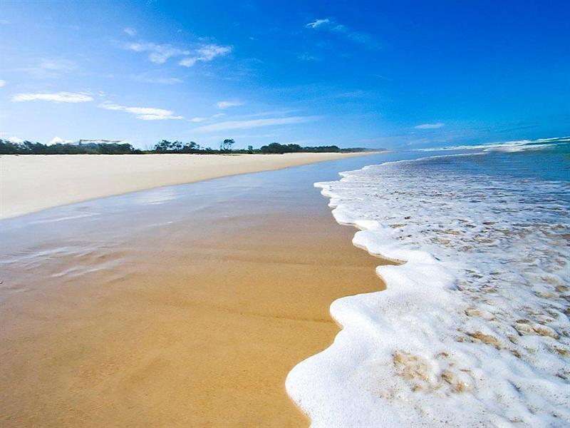 Sold Land Prices & Auction Results in Casuarina, NSW 2487 realestate