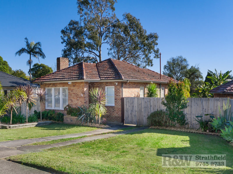 21 NOBLE AVENUE, Strathfield, NSW 2135 Property Details