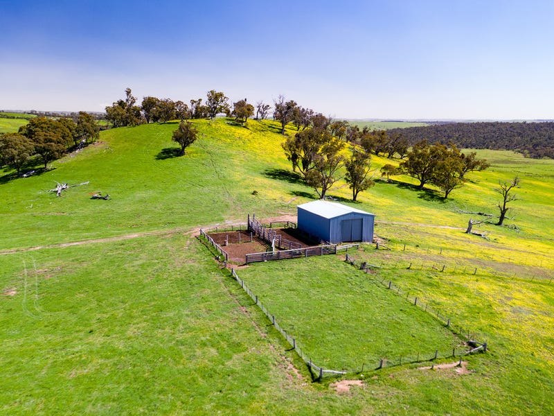 1242 LagganTaralga Road, Taralga, NSW 2580 Lifestyle for Sale