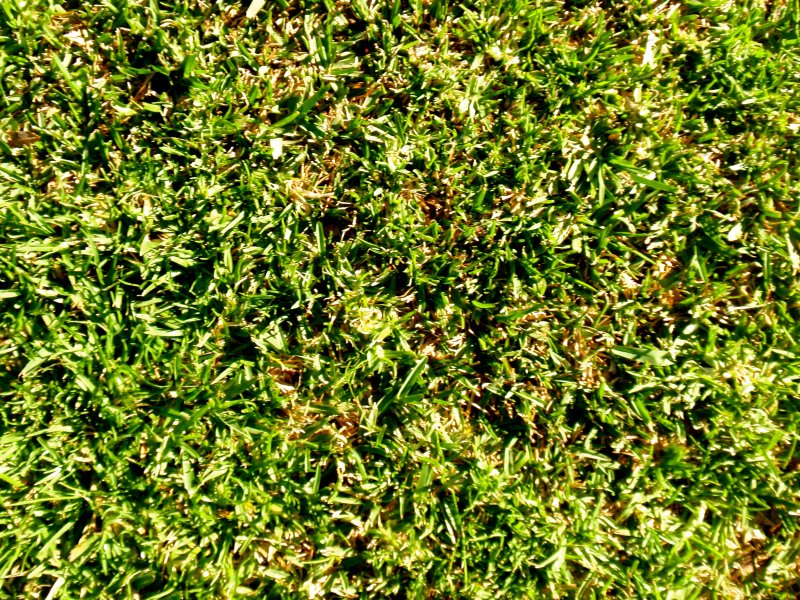 225 Park Street, Brabham, WA 6055