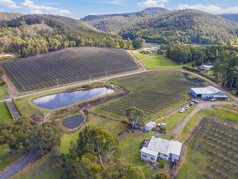 2232 Crowthers Road, Castle Forbes Bay, TAS 7116