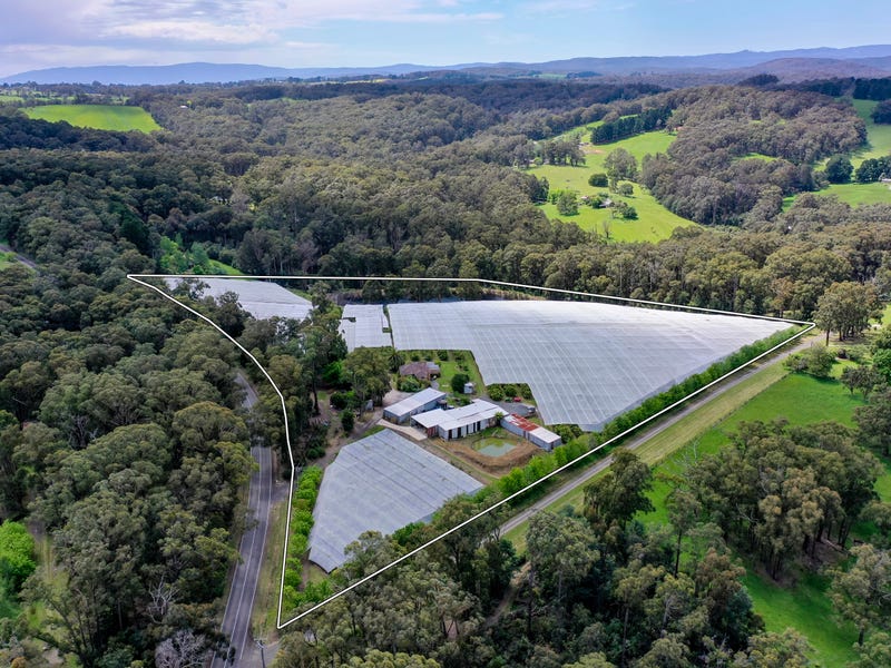 Real Estate & Property for Sale in Gembrook, VIC 3783 Pg. 2