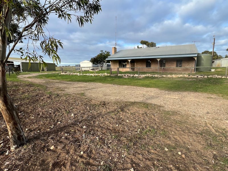 4054 Mallee Highway, Peake, SA 5301 - realestate.com.au