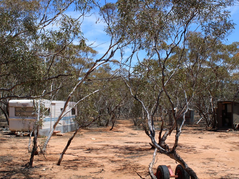Swan Reach address available on request Residential Land for Sale 202293618 Swan Reach address available on request Residential Land for Sale 202293618
