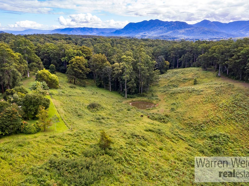 100 Hennessys Lane, Bellingen, NSW 2454