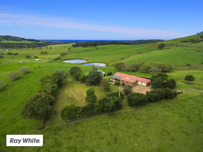 1252 Jamberoo Road, Jamberoo, NSW 2533 Property Details